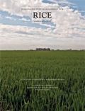 Integrated Pest Management for Rice - Third Edition (Ολοκληρωμένη διαχείριση εχθρών ρυζιού - έκδοση στα αγγλικά)